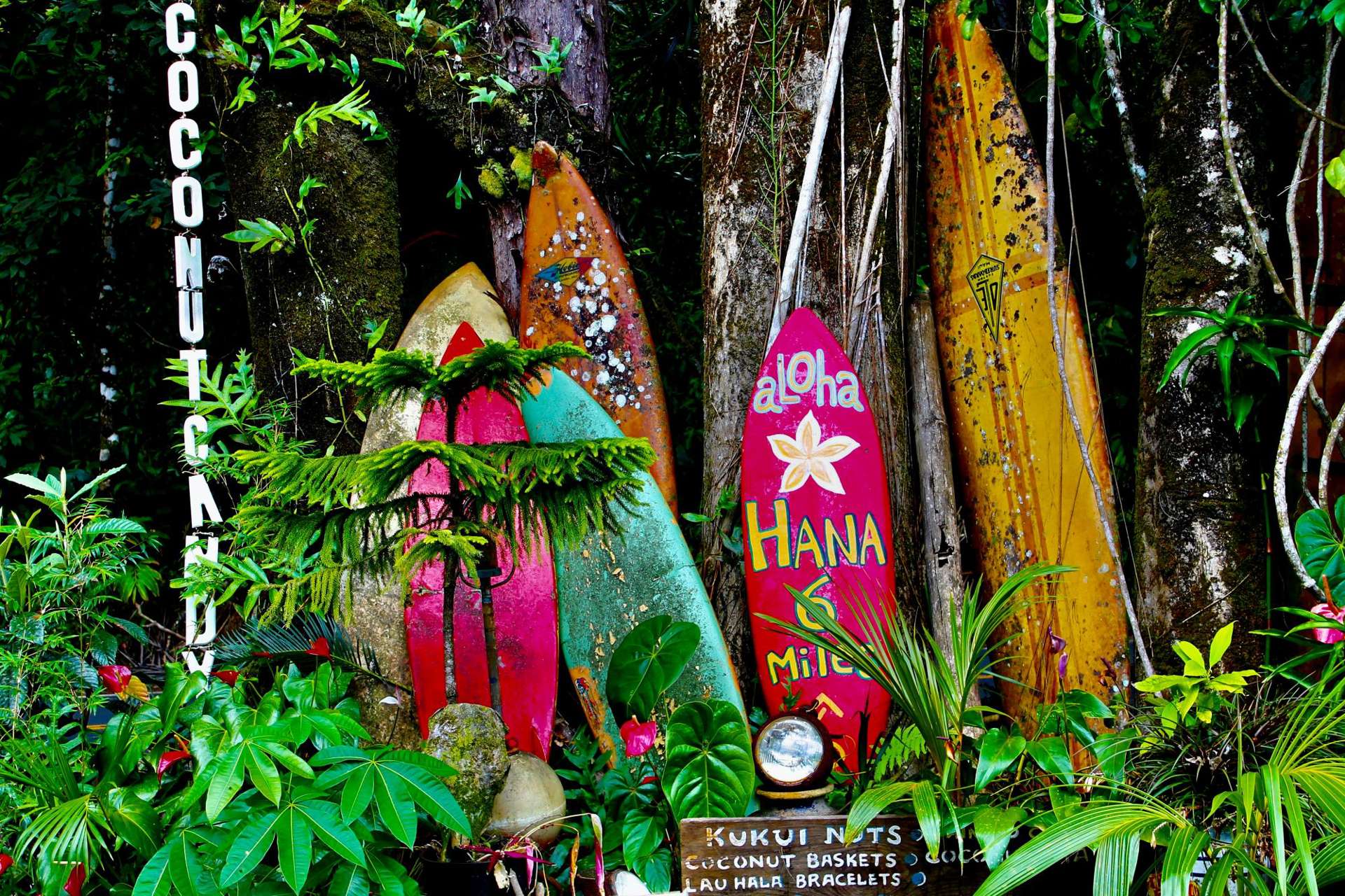 Surfboard på Hawaii