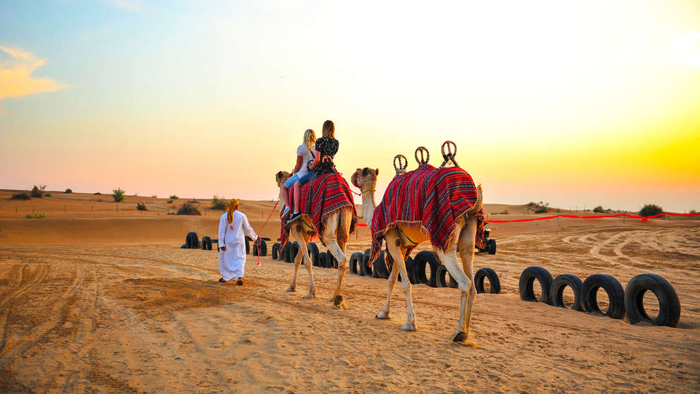 1920X1080 Dubai Kamel Safari