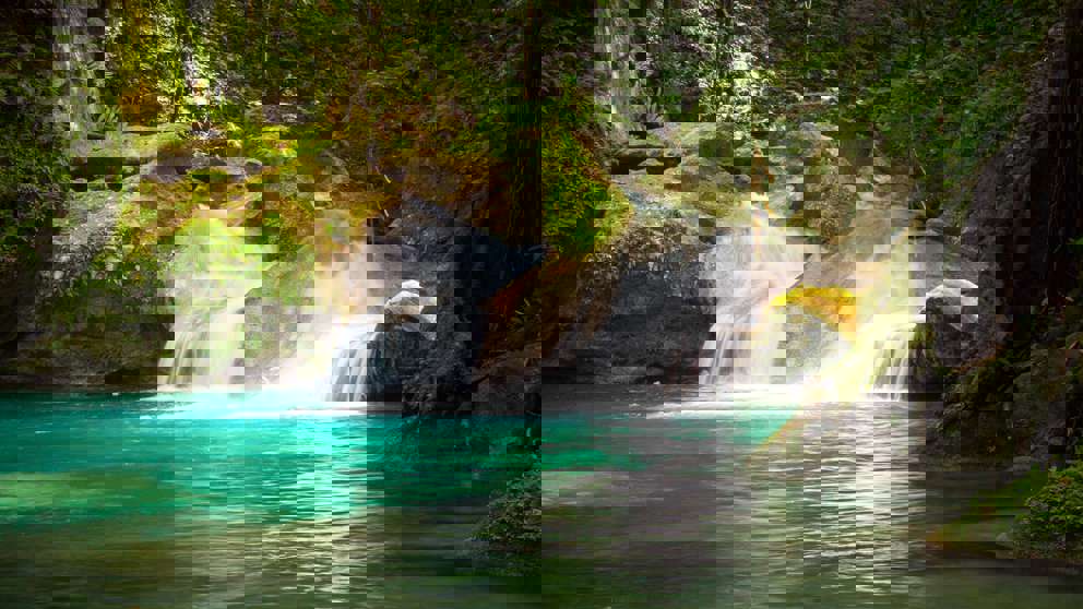1920X1080 Jamaica Reach Falls